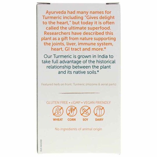 Turmeric 95 with Curcumin, HM